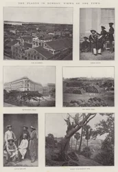 Die Pest in Bombay, Ansichten der Stadt