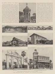Die Verhinderung von Tierquälerei in Indien