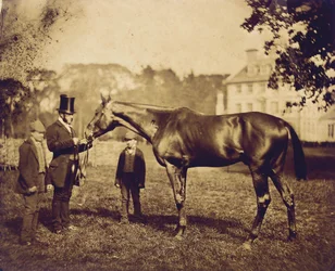 Wild Dayrell, Gewinner des Derbys 1856