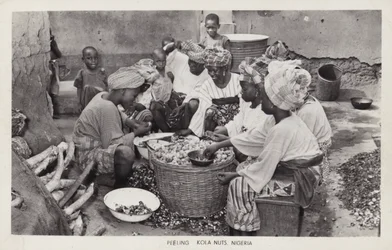 Frauen schälen Kolanüsse, Nigeria