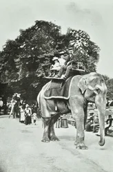 Zoologische Gärten, Regents Park: Elefantenreiten, London, ca. 1895
