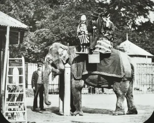 Zoologische Gärten, Regents Park: Elefant mit Erwachsenen und Kindern beim Reiten, London Zoo, 1894