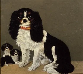 Ein Cavalier King Charles Spaniel mit Welpen