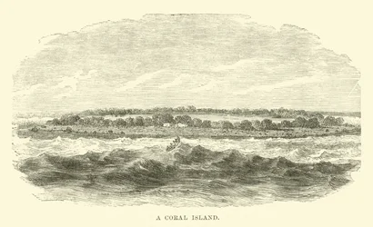 Eine Koralleninsel