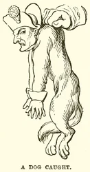 Ein gefangener Hund