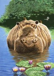 Ein glückliches Nilpferd, Illustration aus 