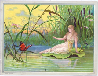 Eine viktorianische Grußkarte mit einer Fee, die auf einem Lotusblatt liegt und einen Schmetterling betrachtet, vor einem Hintergrund aus Binsen, ca. 1880