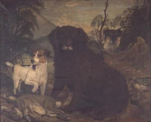 Ein Wasserspaniel und zwei Jack Russells bei der Tagesbeute