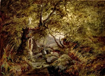 Ein Waldstrom