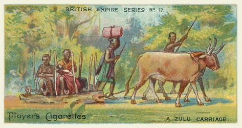 Ein Zulu-Wagen