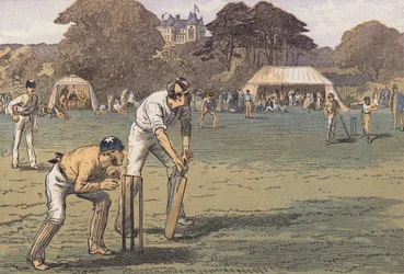 Ein Cricket-Spiel