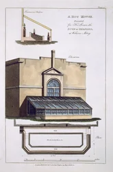 Ein Treibhaus, ausgeführt für seine Gnaden den Herzog von Bedford in Woburn Abbey, 1806