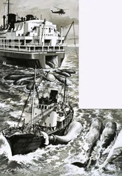Ein Walfang-Fabrikschiff