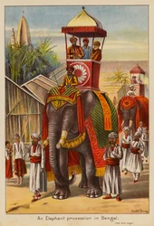 Eine Elefantenprozession in Bengalen