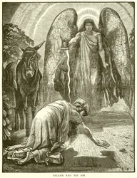 Bileam und seine Eselin