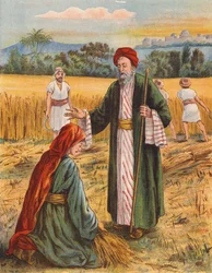 Boas und Ruth im Erntefeld