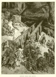 Zedernholz aus dem Libanon bringen