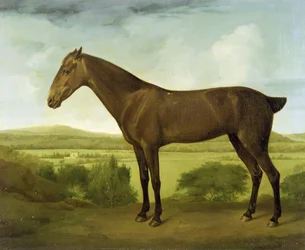Braunes Pferd in hügeliger Landschaft, ca. 1780-1800