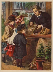 Der Kauf der Samen