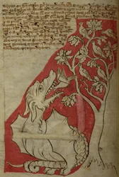 Der Perindens-Baum, aus Bestiarium