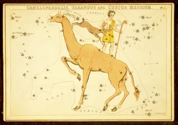 Camelopardalis, Tarandus und Custos Messium, veröffentlicht 1825