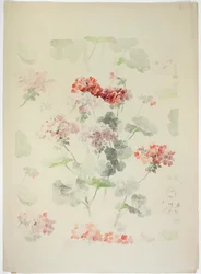 Teppichdesign