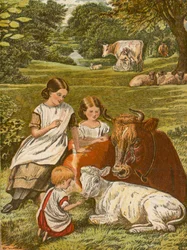 Kinder spielen mit Kuh und Kalb