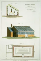 Entwurf für ein Gewächshaus, ausgeführt für Thomas Caldecott in Dartford, Kent, 1806