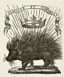 Gerät von Ludwig XII., 1878