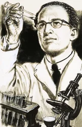 Dr. Jonas Salk, Erfinder des Polio-Impfstoffs, betrachtet ein Reagenzglas