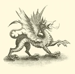 Drache