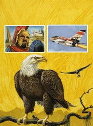 Adler