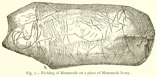 Radierung eines Mammuts auf einem Stück Mammut-Elfenbein