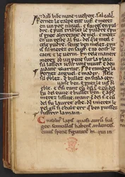 Auszüge aus Henry of Huntingdons Historia Anglorum, Cotton MS Titus D XXIV, f.132v