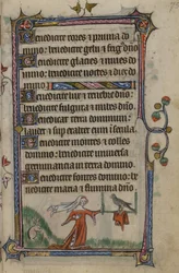 Illustration aus den 