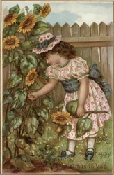 Mädchen pflückt Sonnenblumen im Garten