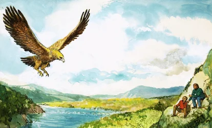 Steinadler