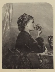 Ihre Königliche Hoheit Prinzessin Louise (Gravur)