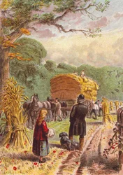 Ernte auf den Feldern