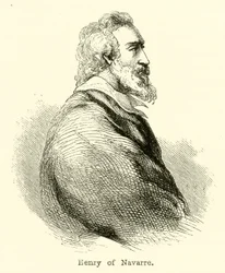 Heinrich von Navarra