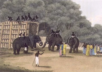 Hindoo Elefantenfalle, veröffentlicht von Edward Orme