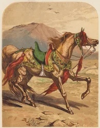 Pferd