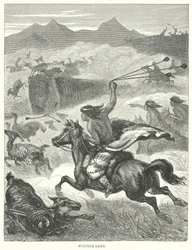 Jagdspiel