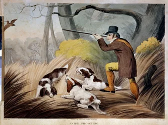 Jagd auf einen Bock in England