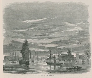 Isle of Dogs