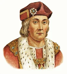 König Heinrich VII.