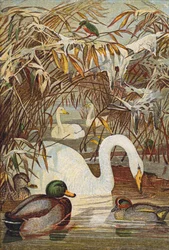 Eisvogel, Enten und Schwäne (Farblitho)