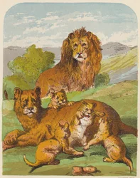 Löwen