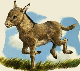 Kleiner Esel