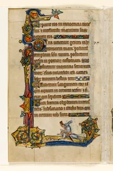 MS 1-2005, fol. 115v: Ein Hase reitet auf einem Hund, jagend, Randdekoration aus dem Macclesfield Psalter, Use of Sarum, Ostanglien, um 1330